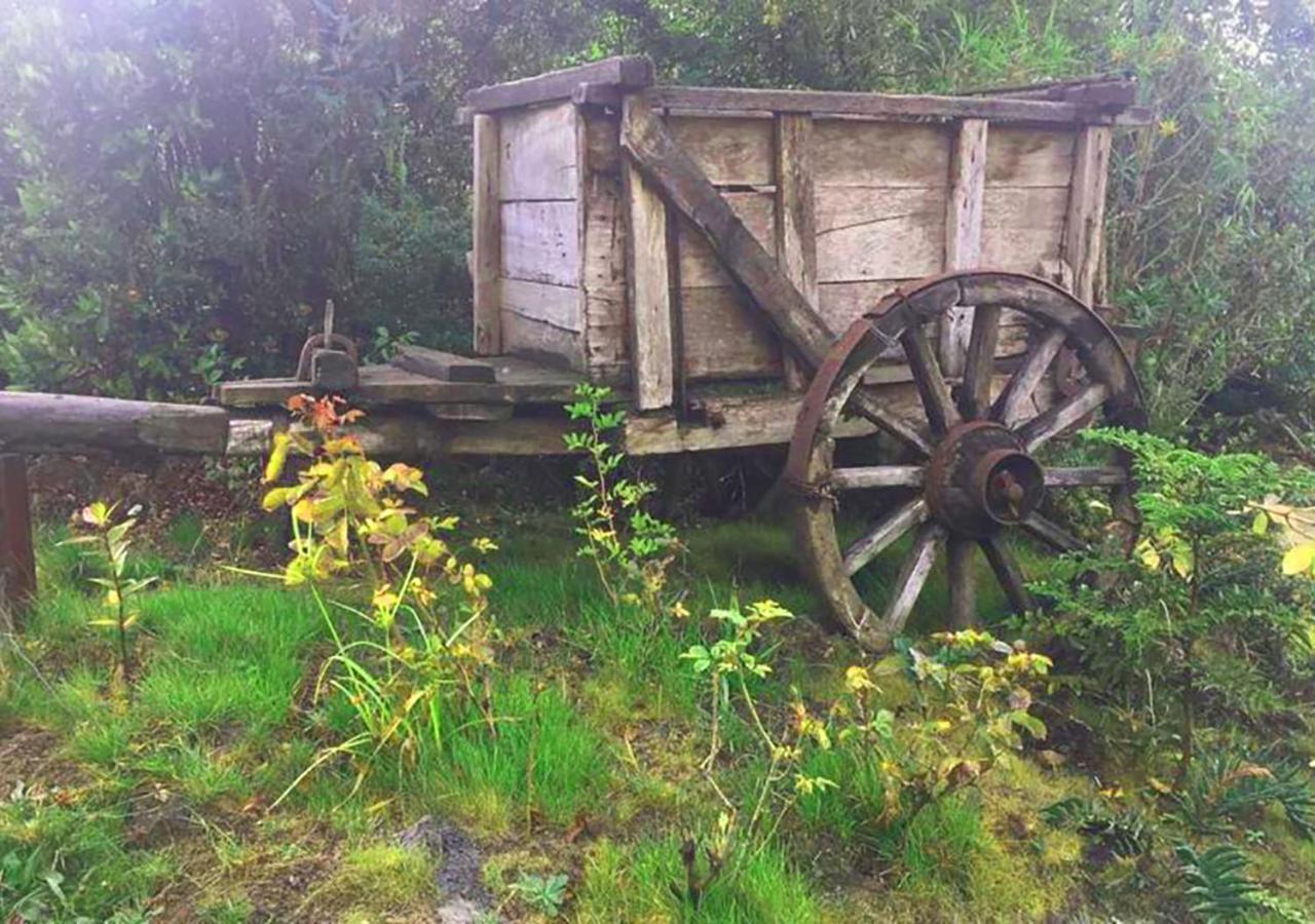 Cabanas Los Cantos Del Chucao ปูแอร์โตบารัส ภายนอก รูปภาพ