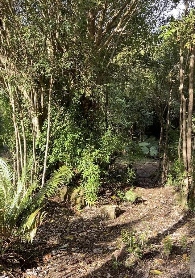 Cabanas Los Cantos Del Chucao ปูแอร์โตบารัส ภายนอก รูปภาพ